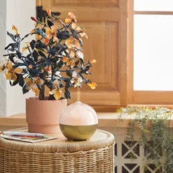 100ml Iridescent Oil Diffuser White - Opalhouse™ 13 100ml Iridescent Oil Diffuser White - Opalhouse™ -Opalhouse GUEST f12702f8 e31d 43ee 96f7 42fa6e708262